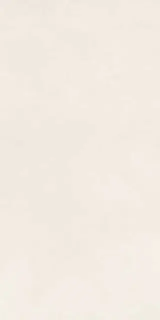 Керамогранит NUANCES BIANCO SQ. 6MM 120X280