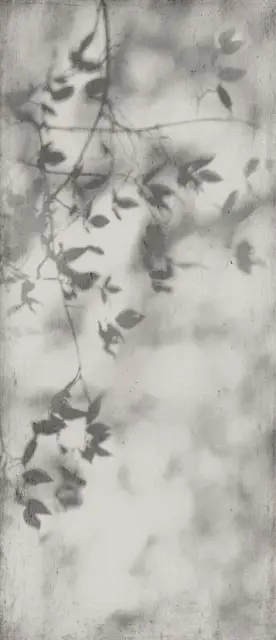 Керамогранит ART WALLS SHADOW NAT R 120x280