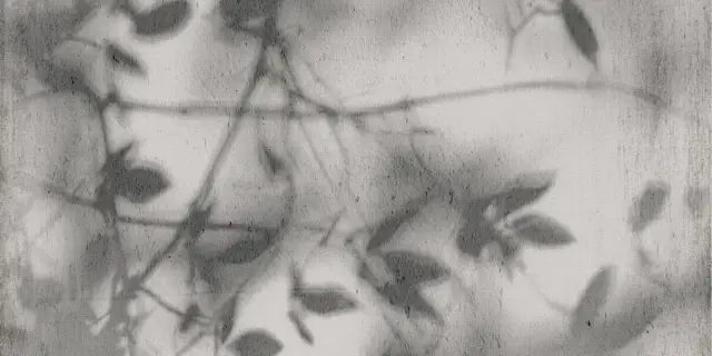 ART WALLS SHADOW NAT R60X120