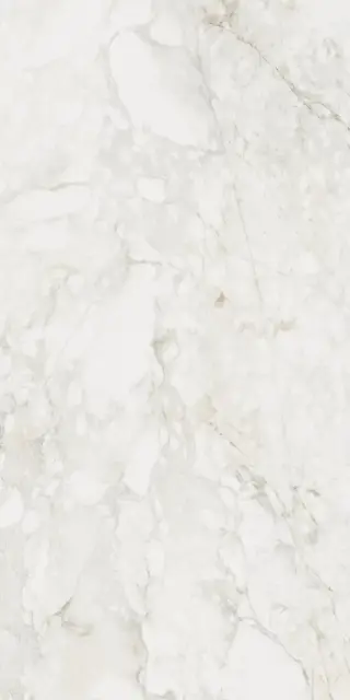 Керамический гранит MEDLEY PRINCE MOL.RET.60X120