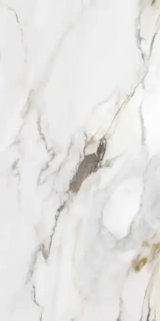 Керамогранит MARMO E PIETRA MACCHIA ANTICA  NAT. RETT. 60X120