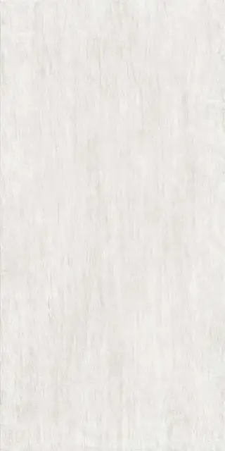 Керамогранит FOYER LUMIERE NAT.RET 60X120