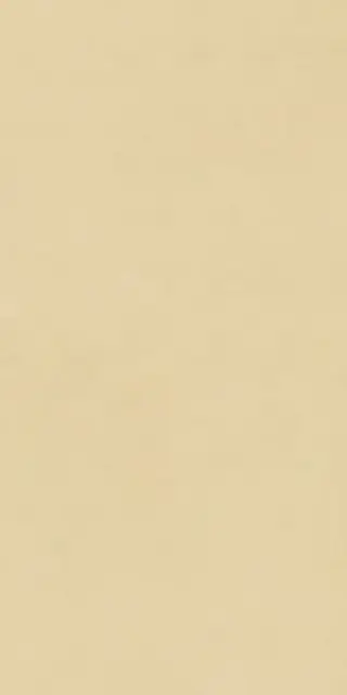 Керамогранит NUANCES LUCE SQ. 120X60