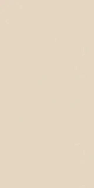 Керамогранит HBE BIOTERRE SOIA HBE 1 60X120 RETT