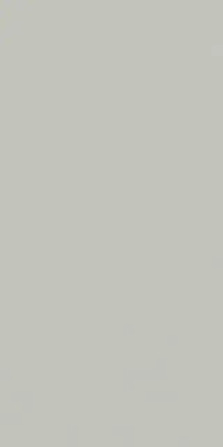 Керамогранит HBE BIOTERRE AMLA HBE 4 60X120 RETT