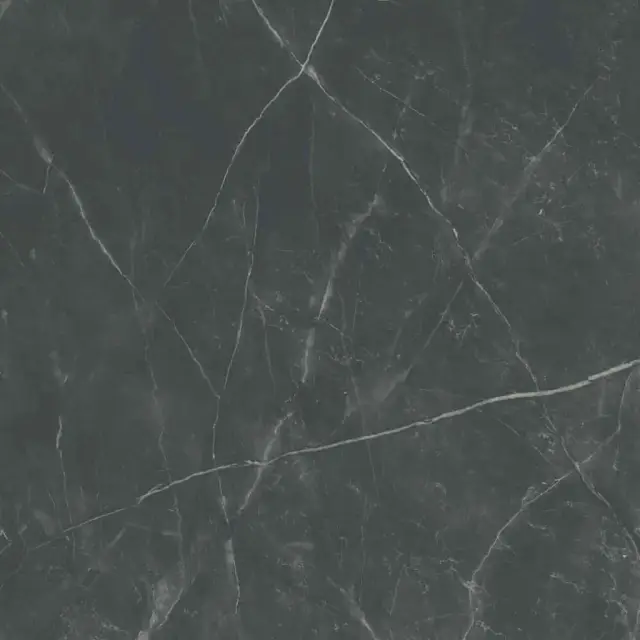 Керамогранит SPR.MEMOR. DARK STONE NAT R120X120