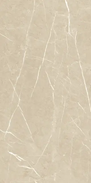 Керамический гранит MEDLEY VIOLIN MOL.RET.60X120