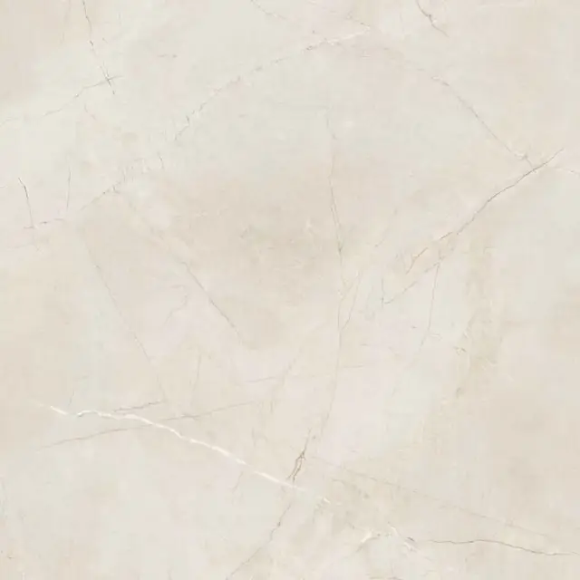 Керамогранит SPR.MEMOR. PULPIS IVO. LUX R120X120