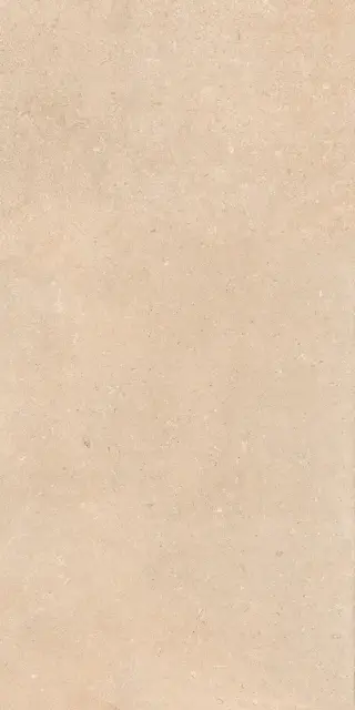 Керамогранит AUTHENTIC LUX ST DORD MATL 60X120 6MM