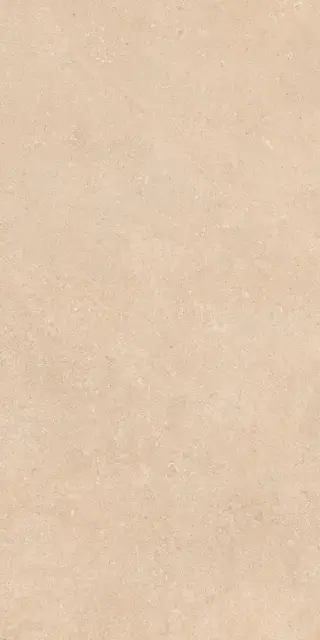 Керамогранит AUTHENTIC STONE DORDOGNE LEATHER MATTE 60x120 RET