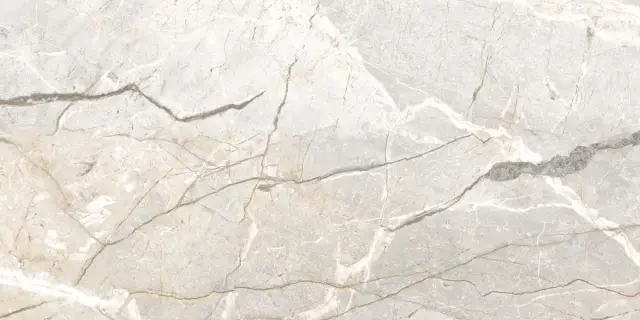 Керамогранит SUPREME HEDONISM SILVER ROOTS LU3 R 60x120