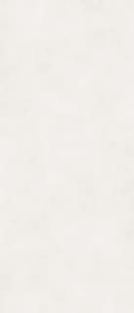 Керамогранит ALTEREGO MILK NAT RETT 120X280