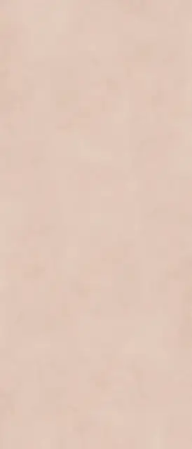 Керамогранит ALTEREGO CLAY NAT RETT 120X280