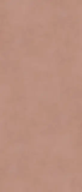 Керамогранит ALTEREGO COTTO NAT RETT 120X280