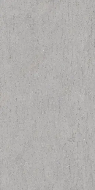 Керамогранит POETRY STONE RE.BASAL.SILV. NAT R60X120