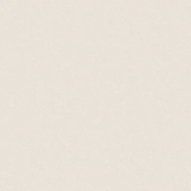 Керамогранит MOOOI NESTING ROOM SANDY PLAINS IVORY NAT R 60X60