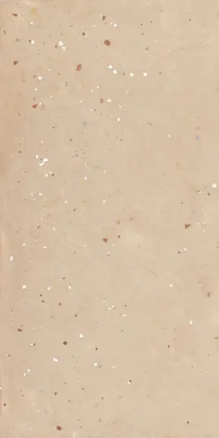 Керамогранит MOOOI NESTING ROOM EGG SCAPE  HAY  NAT R 60X120