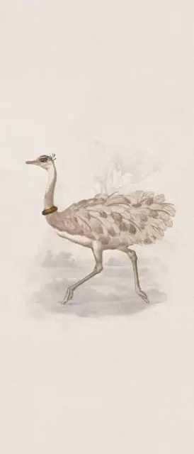 Керамогранит MOOOI NESTING ROOM SPEC.EDIT. REIKI RHEA    NAT R120X280