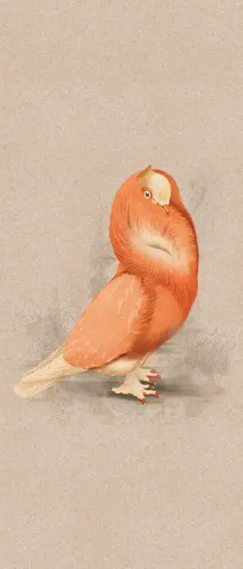 Керамогранит MOOOI NESTING ROOM SPEC.EDIT. CLOIS.DOVE NAT R 120X280