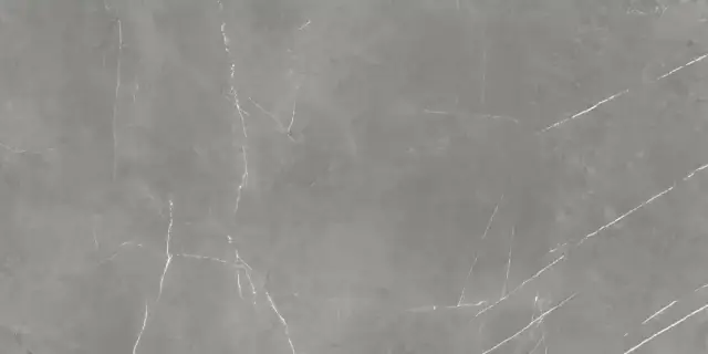 Atlas Concorde Russia Forte Dei Marmi Керамогранит Elegant Grey 60x120 патинированный 