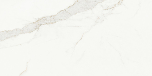 Blanc Calacatta Gold Soft 60x120