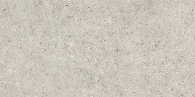 Beren Light Grey Natural 60x120
