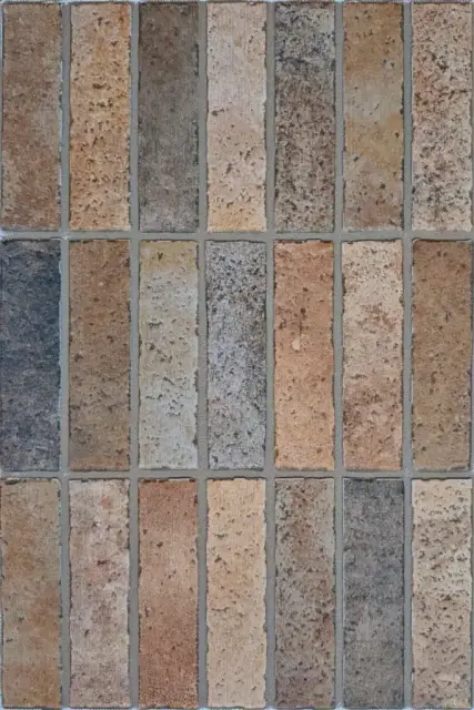 Elvas Coto 40x60