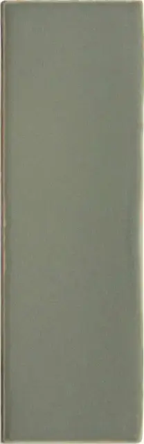 Chalk Cactus  4x12.5