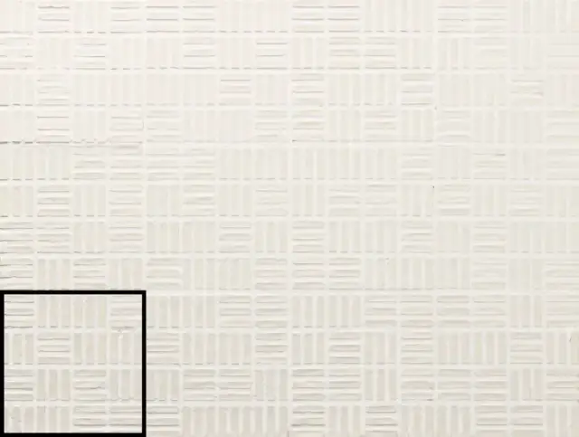 Tiny Bone ZZ 10x10