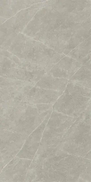 Эстерель серый светлый матовый обрезной 60x119,5x0,9