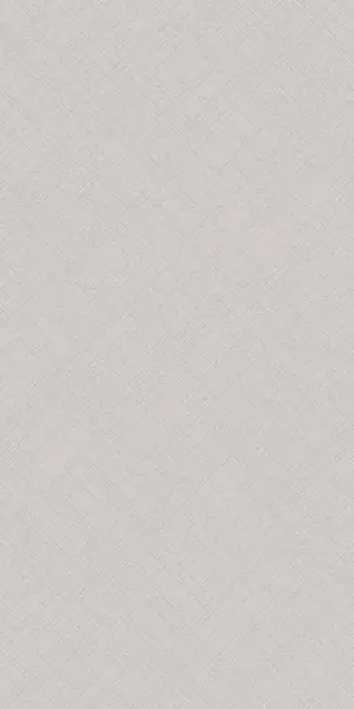 Incisio Silver 31.5x63