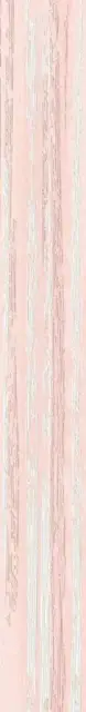 Бордюр LOUNGE BLOSSOM LINEA XX|6.2x50.5