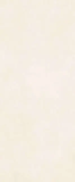 Pinto beige wall 01 25х60