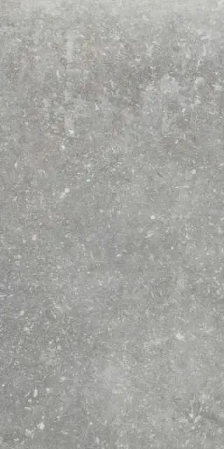 Ardenne Grigio 20x40