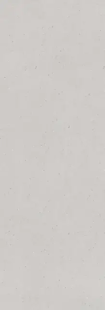 Piatto Gainstone Glossy 15 mm 80x300