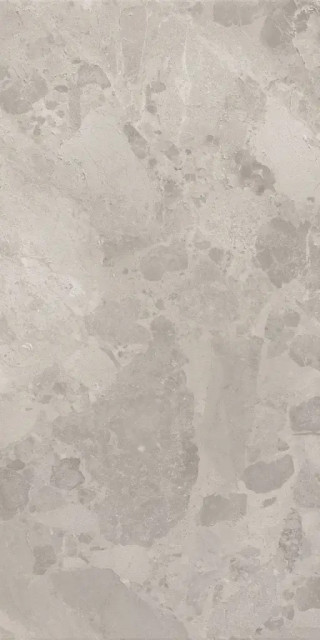 BLOOMSTONE SILT 60X120 RT