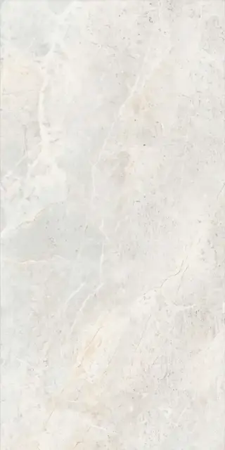 Augustus Pearl Natural rect 60x120