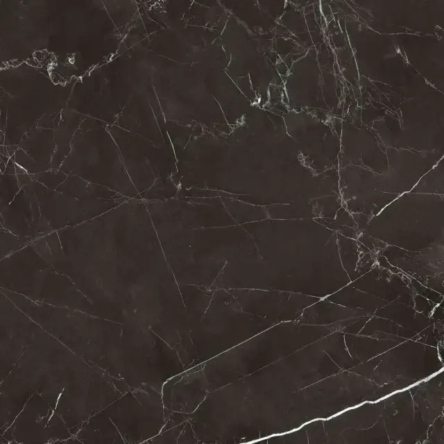 Royal black 60x60