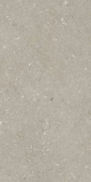 Shellstone Taupe 60x120