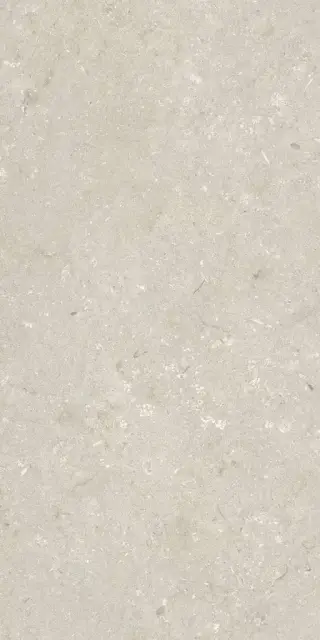 Shellstone Beige 60x120