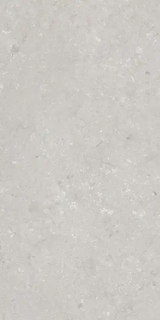 Shellstone Bianco 60x120