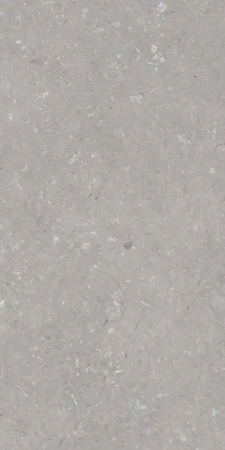 Shellstone Grigio 60x120
