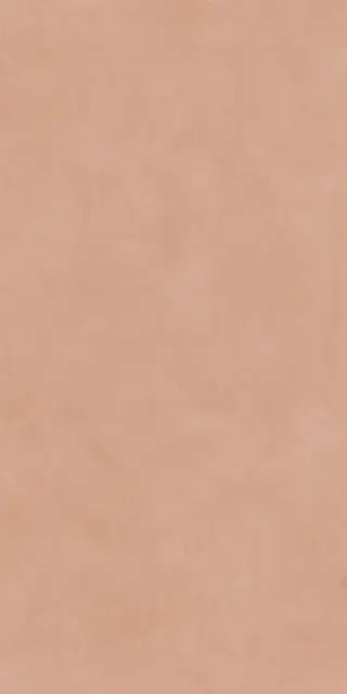 Керамогранит MIND COLOR PETAL MOL.RET.60X120