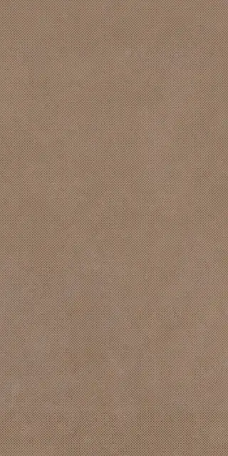 Керамогранит RETINA PAT6 MOUSS12 RM
