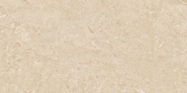 ODYSSEY CREAM REC.GLASS (T)C 60X120