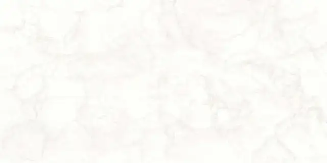 Керамогранит Tagina Mystery White Lux Ret глянцевый белый 142015 120х60 см