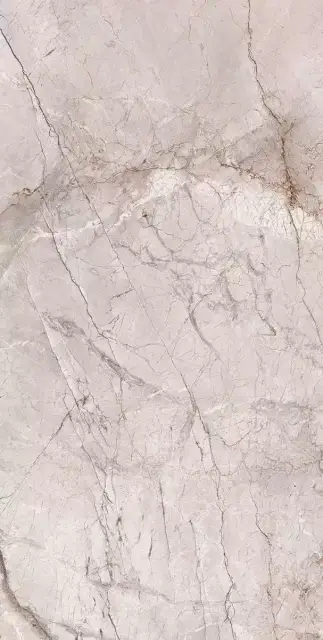 Marble Dragon Grey Polished 60x120
