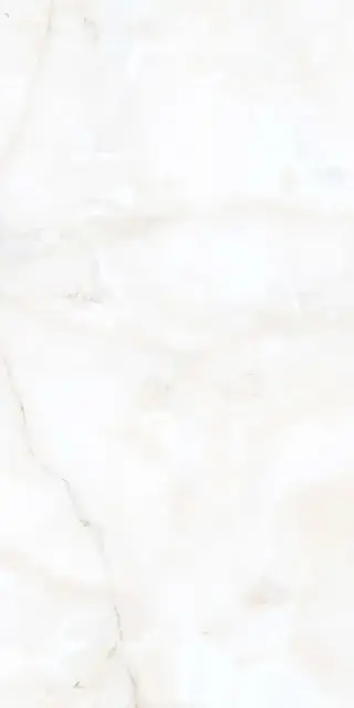 Nikita White Pol. 60x120
