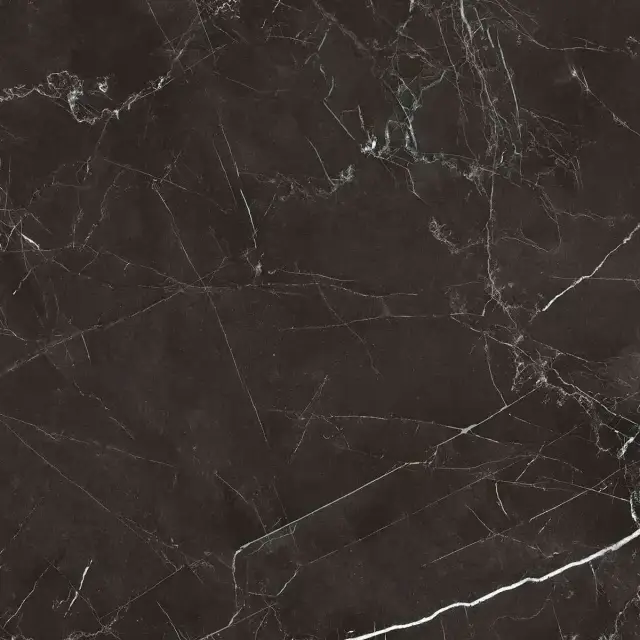 Royal black 60x60