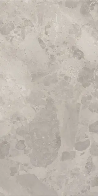 BLOOMSTONE SILT 60X120 RT